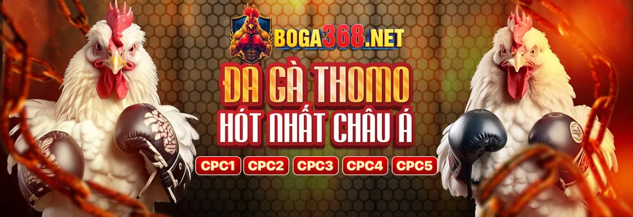 Đá Gà Trực Tuyến vang88 win